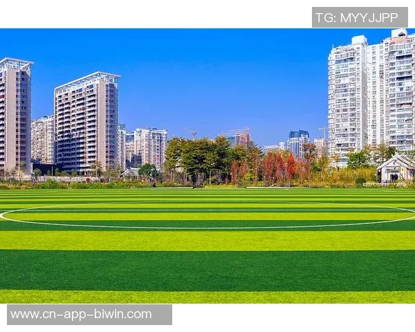 成都示范性足球场建设助力城市体育发展与青少年足球普及